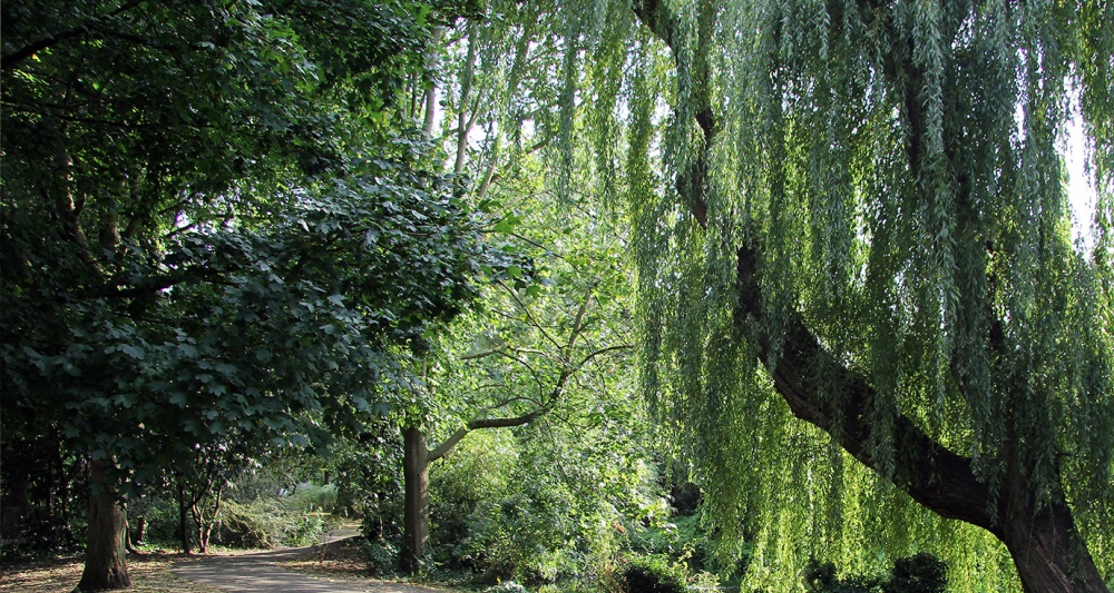New River Walk