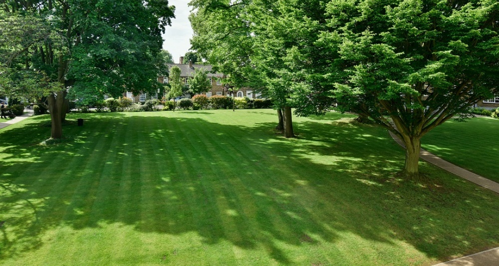 Communal gardens 