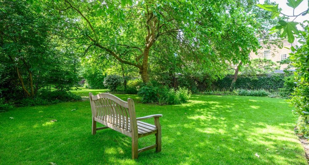 Communal garden