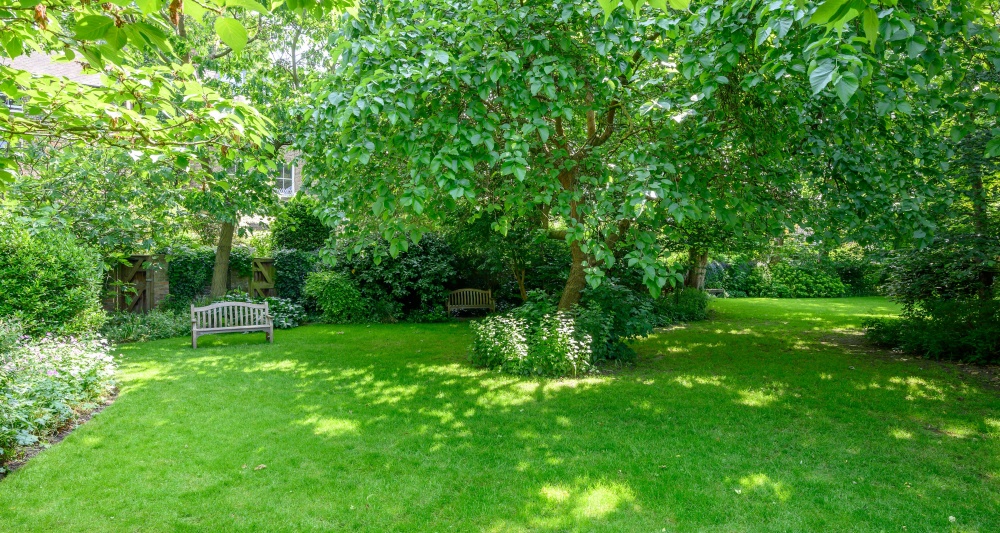 Communal garden
