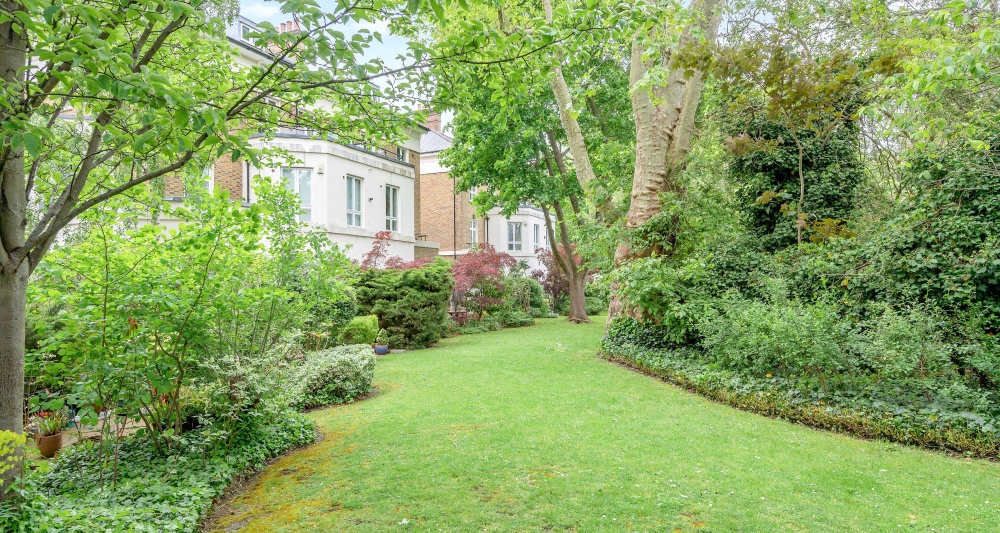 Communal Gardens